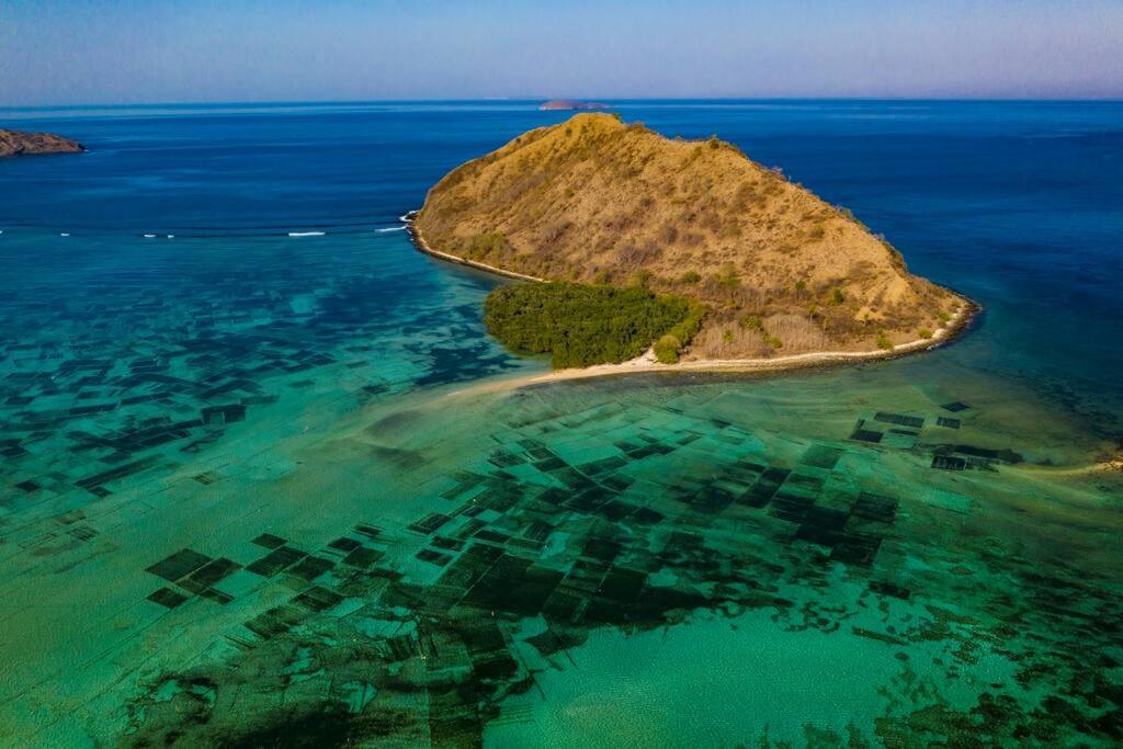 Beach-Front Sumbawa Surf House Lemonga Exterior photo